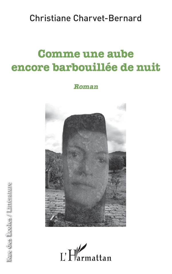 media/pim/1075009_image_type_product_shot_HARMATTAN_1_FR