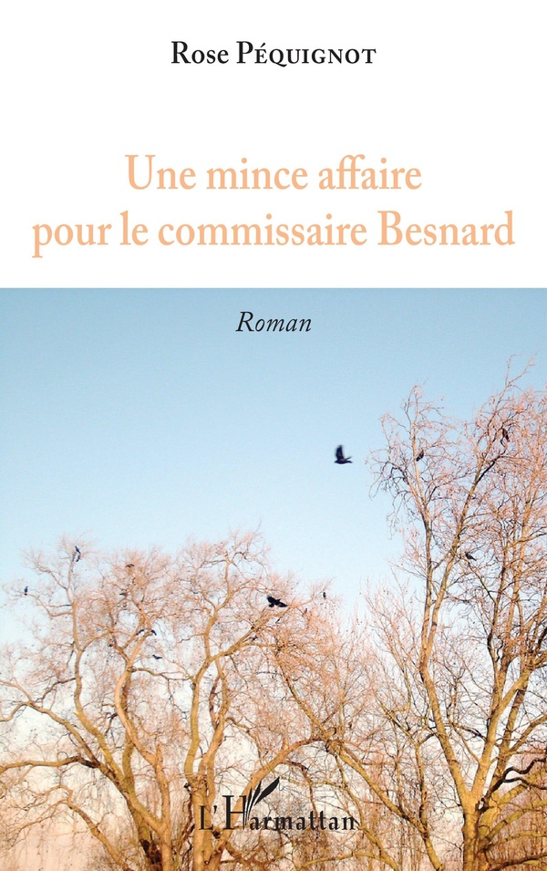 media/pim/1079354_image_type_product_shot_HARMATTAN_1_FR