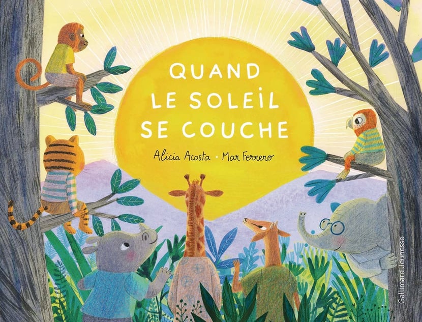 media/pim/10793720_image_type_product_shot_SODIS_1_FR_45e08