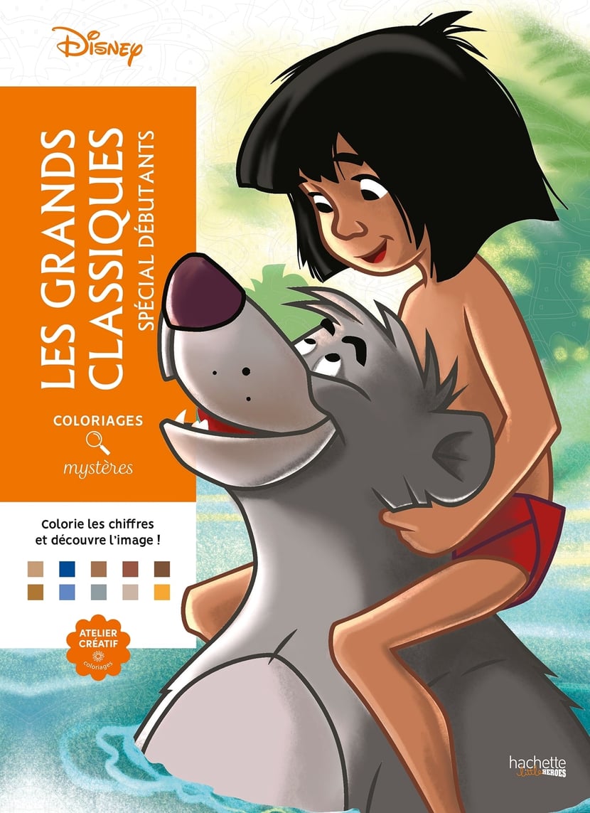 media/pim/10898104_image_type_product_shot_HACHETTE_0_FR_3c611
