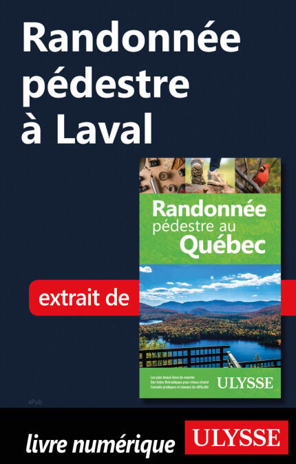 media/pim/10_5011027e-0148-48ec-a360-b9827843af28.jpeg
