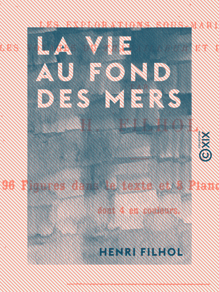 media/pim/10_6c4d721f-33b2-44e7-8589-984e58541625.jpeg