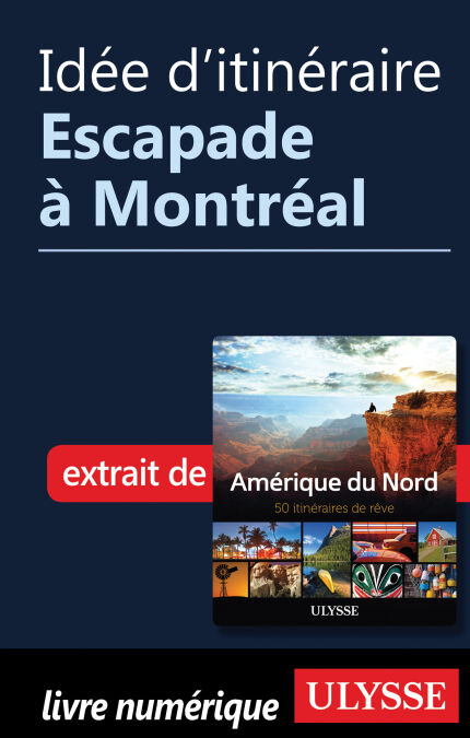 media/pim/10_70e17a04-c5f6-480e-aeff-5ebaed1e76d7.jpeg