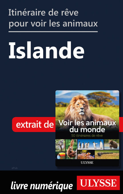 media/pim/10_94e83495-ceef-4304-ba22-04408ec7161a.jpeg