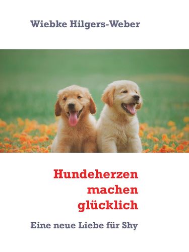 media/pim/10_metadata-image-41572484.jpeg