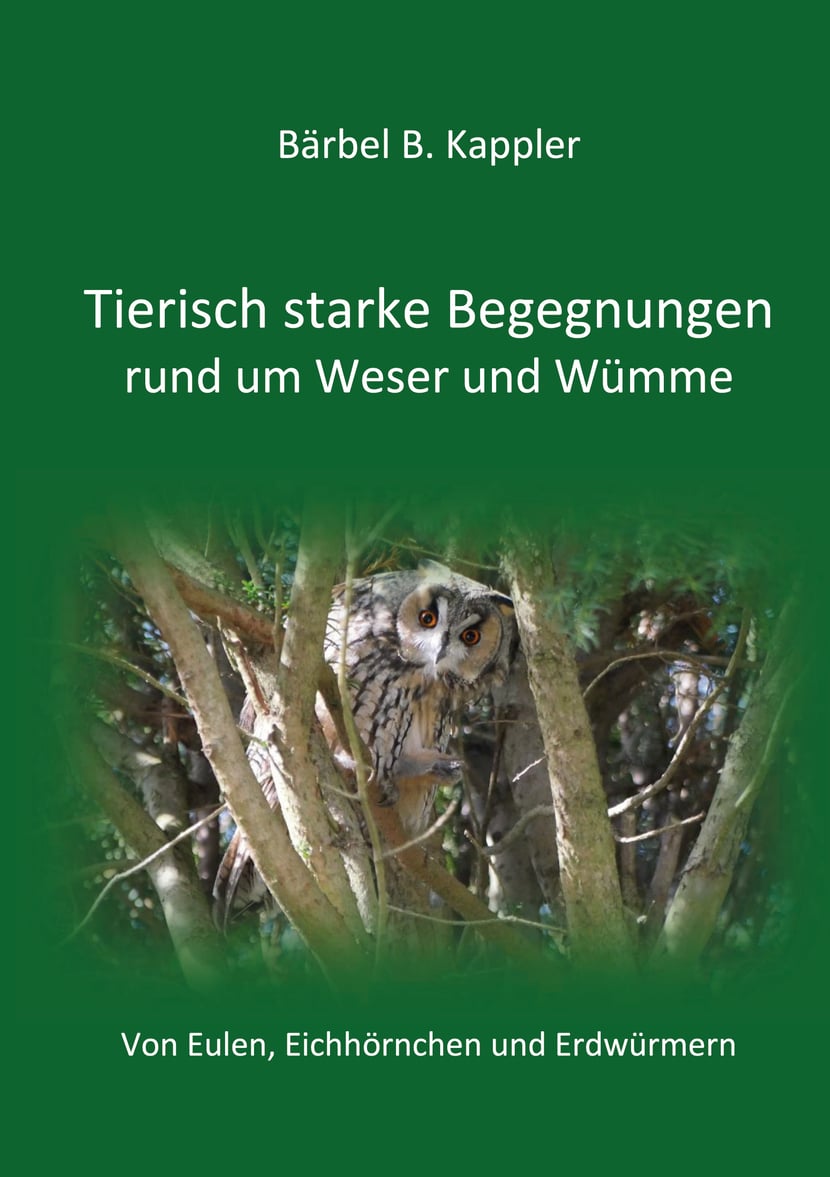 media/pim/10_metadata-image-57952983.jpeg