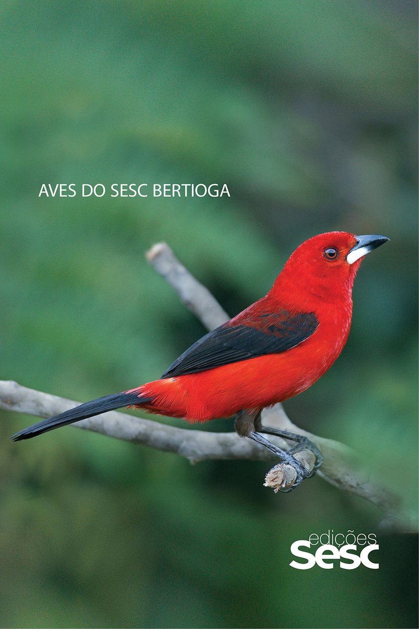 media/pim/10_metadata-image-66825943.jpeg