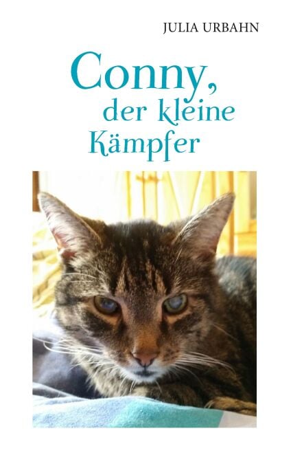 media/pim/10_metadata-image-70962437.jpeg