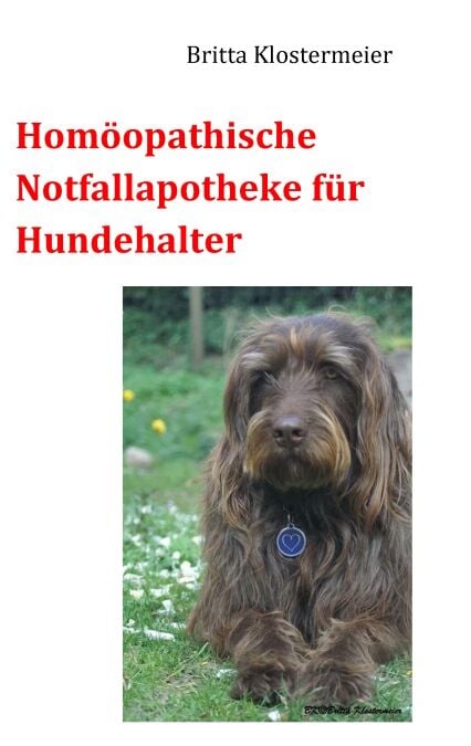 media/pim/10_metadata-image-70963766.jpeg