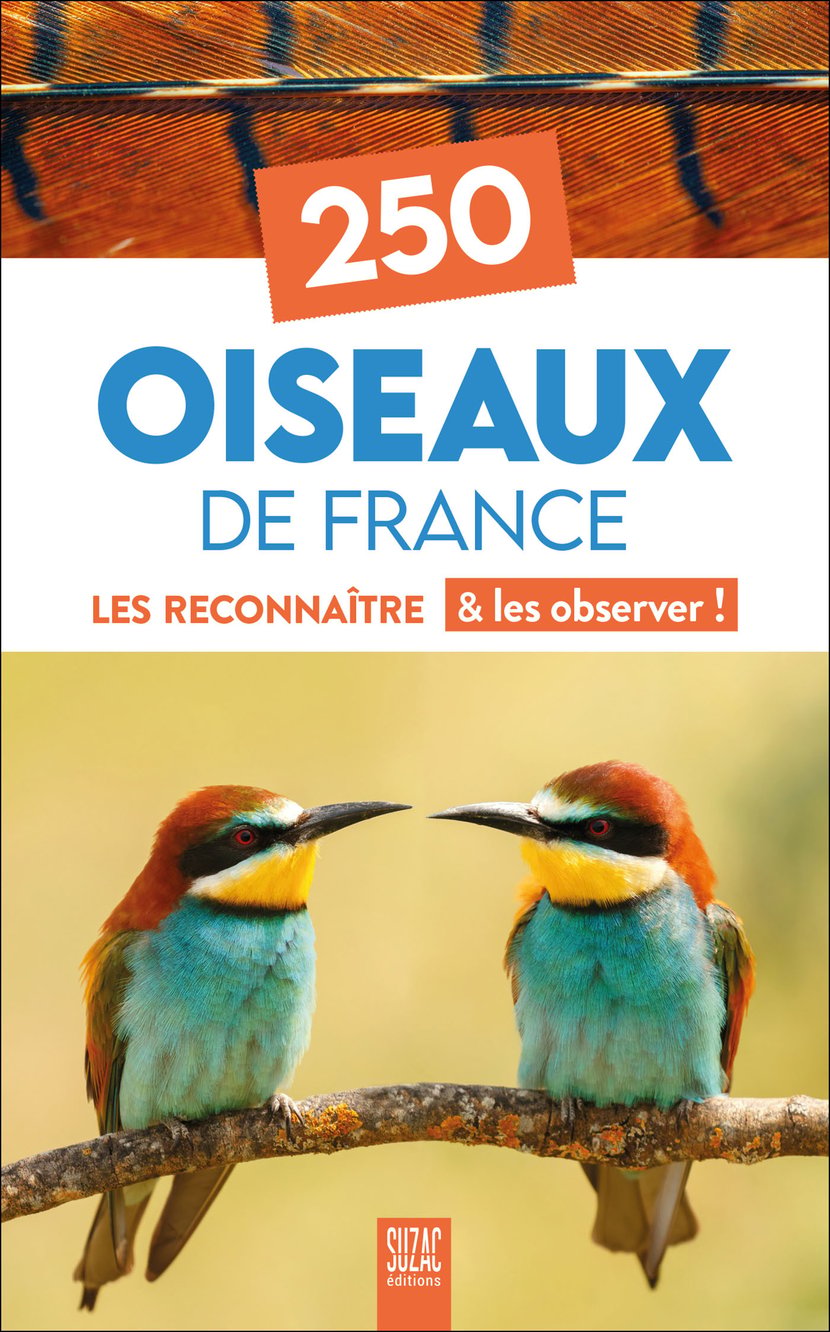 media/pim/11327918_image_type_product_shot_SODIS_1_FR_19cf3