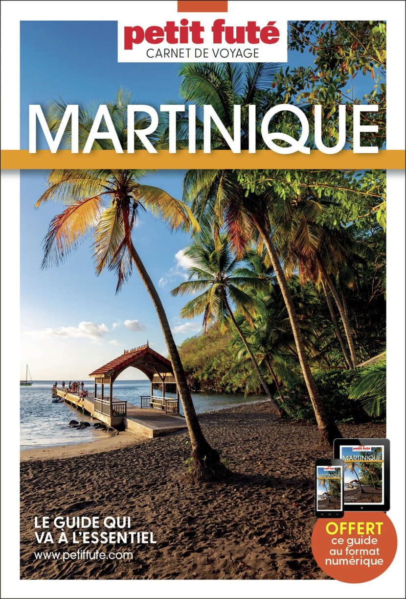 media/pim/11333709_image_type_product_shot_FOUR_non_TRANSCODE_1_FR_d20d4