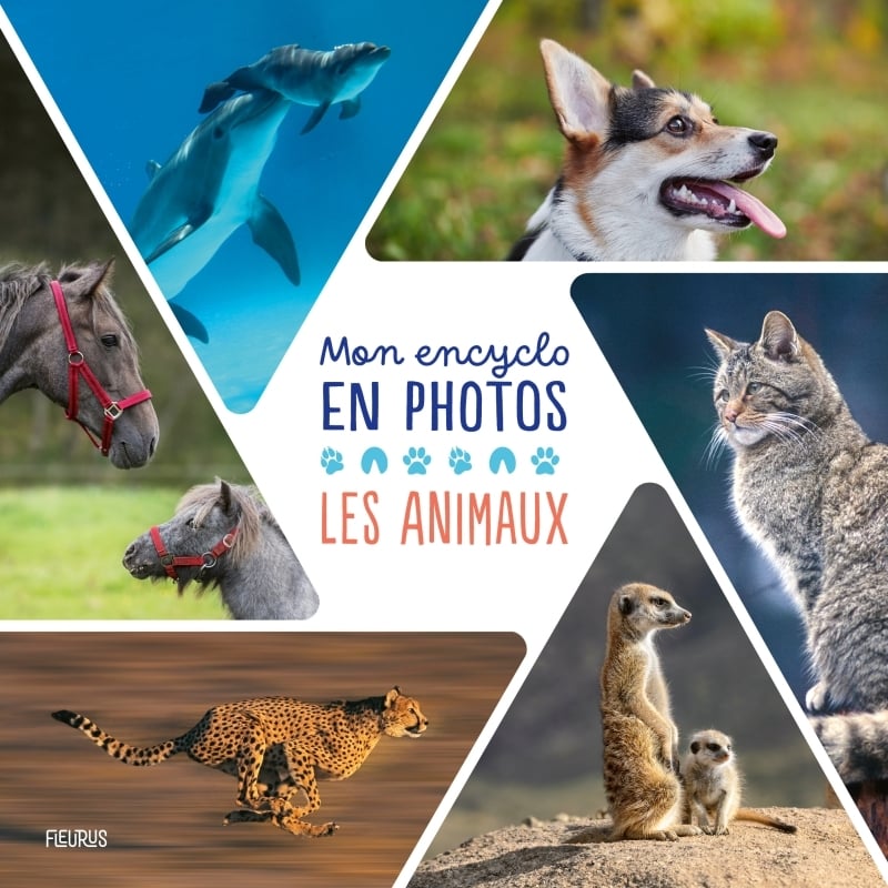 media/pim/11419211_image_type_product_shot_MDS_1_FR_5f52d