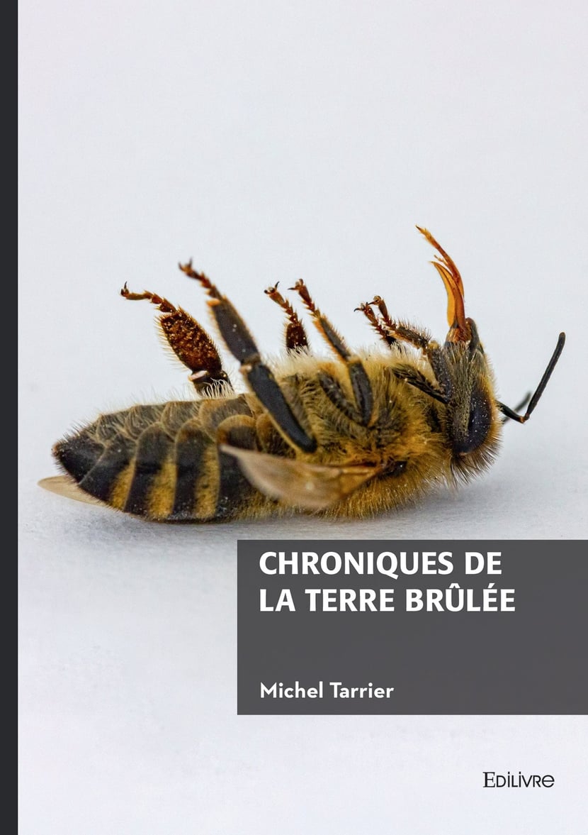 media/pim/11950609_image_type_product_shot_FOUR_non_TRANSCODE_1_FR_0bf40