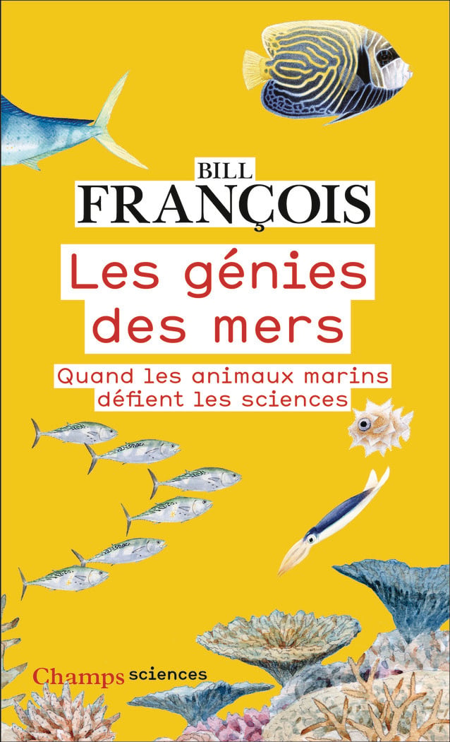 media/pim/11964047_image_type_product_shot_FOUR_non_TRANSCODE_1_FR_20013