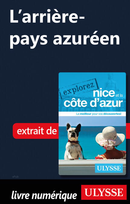 media/pim/11_46ddd9fe-055c-4a16-9c3b-a1b65d3b06ff.jpeg