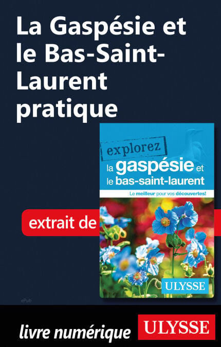 media/pim/11_4af3ee05-67a7-4557-a666-8f16cd9cc447.jpeg