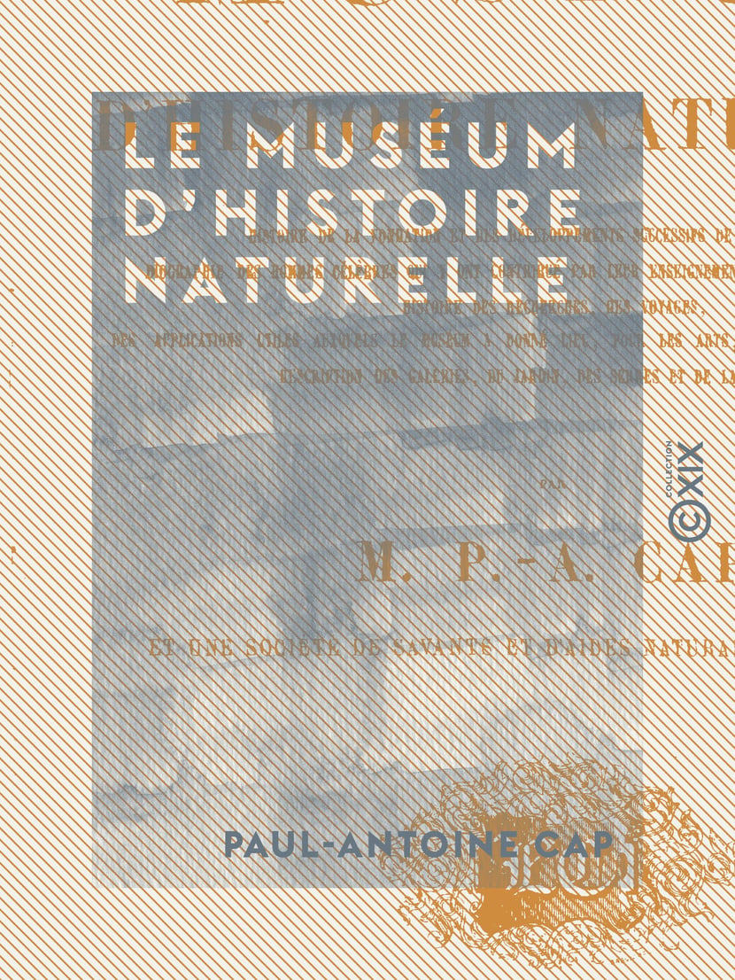 media/pim/11_metadata-image-16540730.png