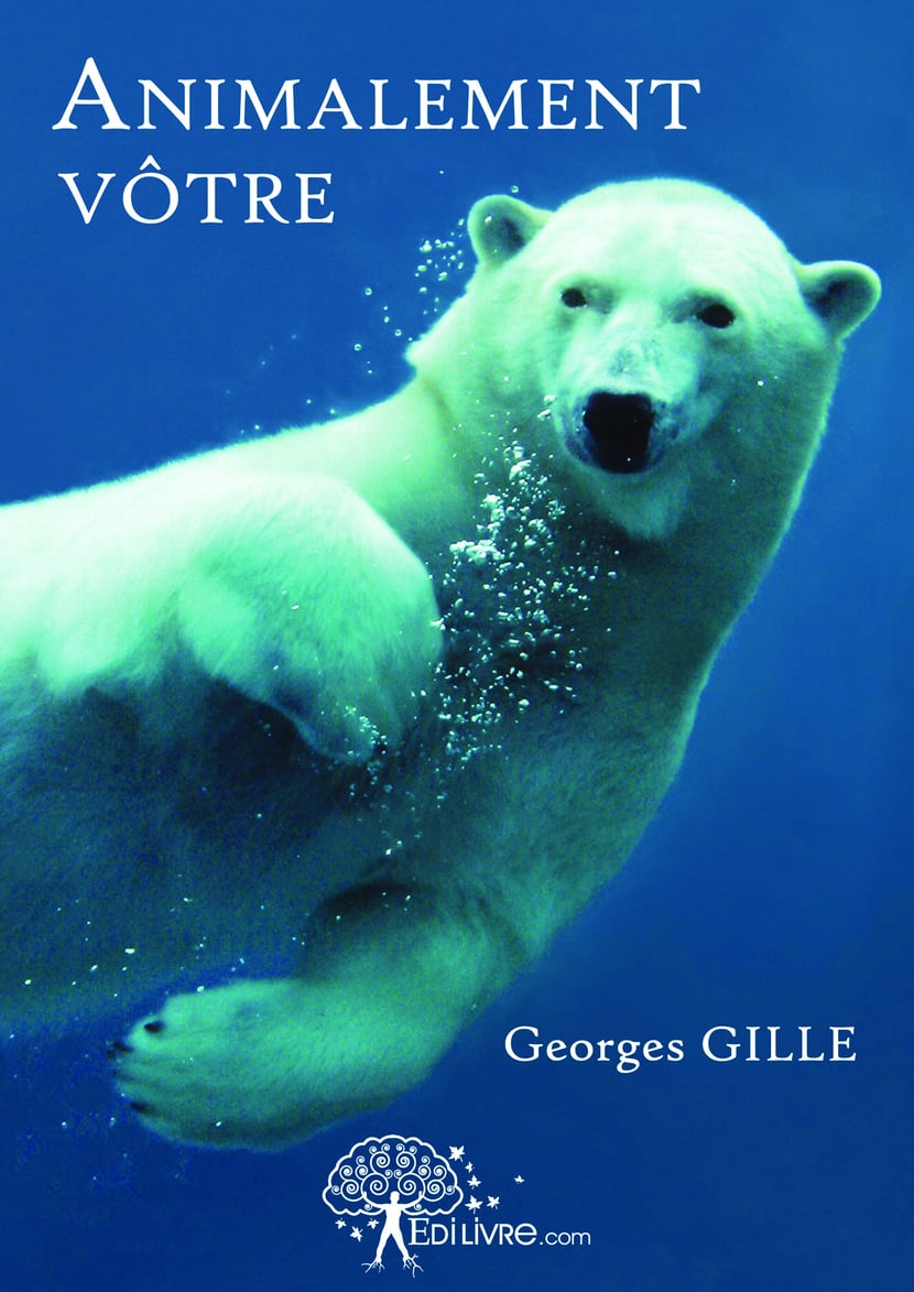 media/pim/11_metadata-image-3284118.png