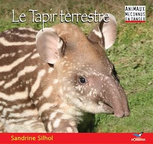 media/pim/11_metadata-image-42661048.jpeg