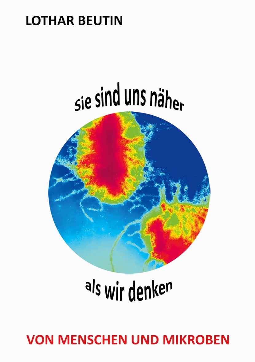 media/pim/11_metadata-image-47496102.jpeg