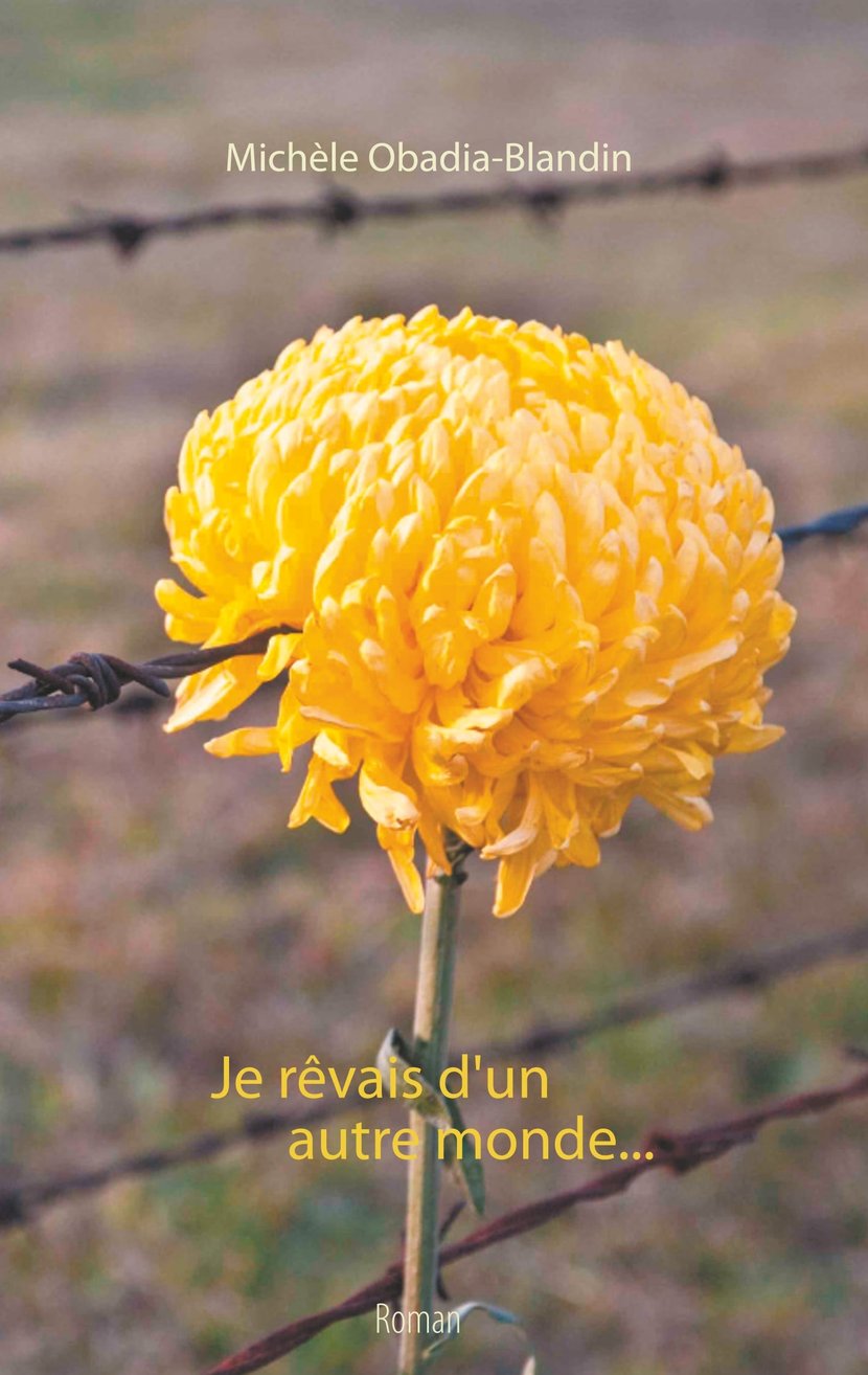 media/pim/11_metadata-image-70934556.jpeg