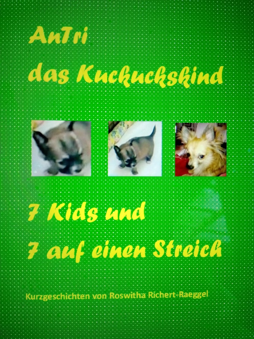 media/pim/11_metadata-image-70997303.jpeg