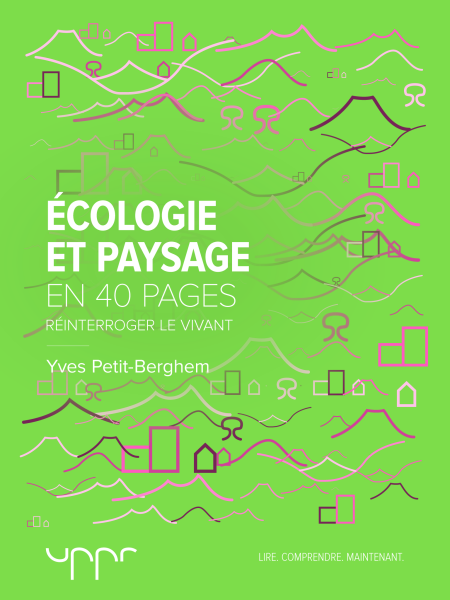 media/pim/11_metadata-image-74648084.png