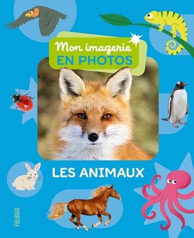 media/pim/12653980_1a6xhmtb_1