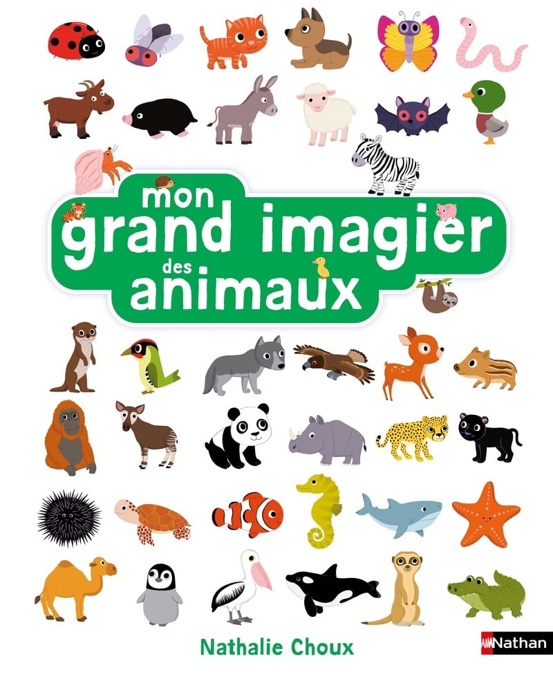 media/pim/12671005_image_type_product_shot_FOUR_non_TRANSCODE_1_FR_6cb6f