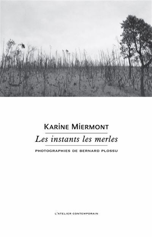 media/pim/12807434_moxljk1t_1
