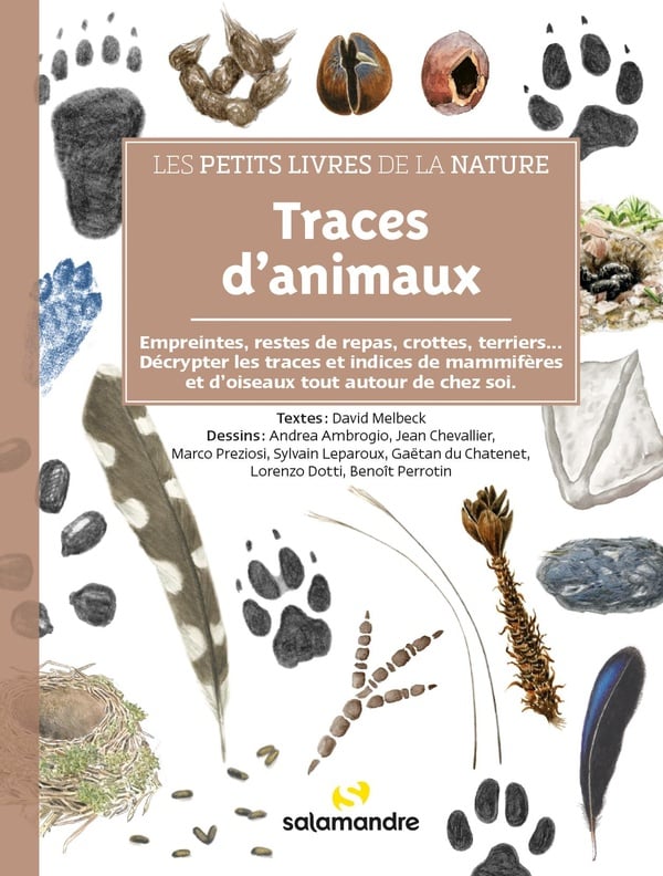 media/pim/12841242_image_type_product_shot_FOUR_non_TRANSCODE_1_FR