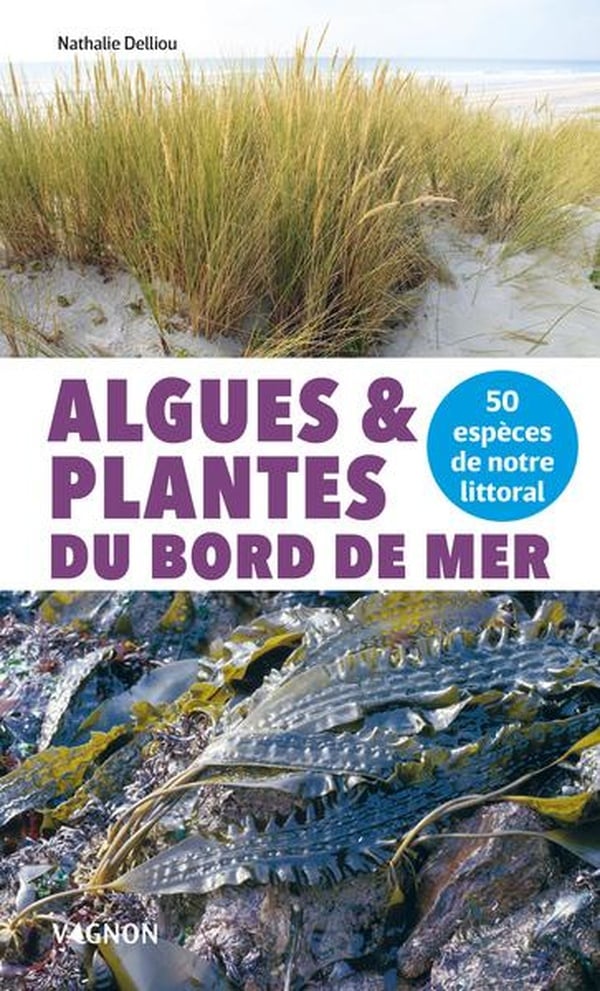 media/pim/12841846_129g6kjp_1