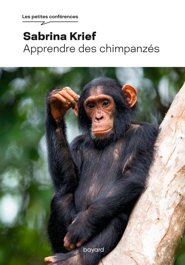 media/pim/12855584_1mqjpqs8_1