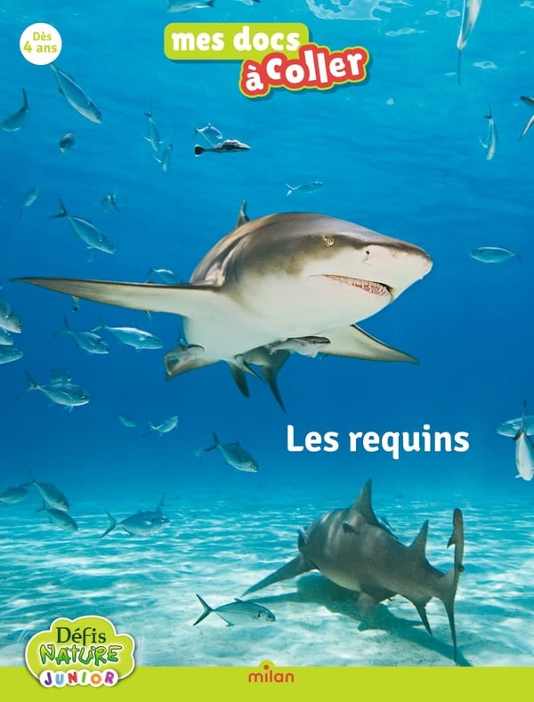 media/pim/12861788_vm9krzur_1