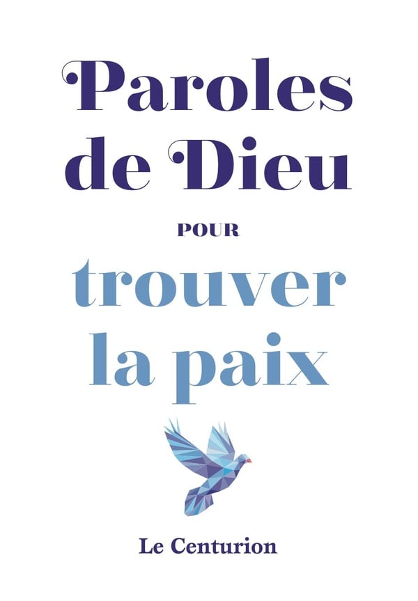 media/pim/12883501_d6f9qbe4_1