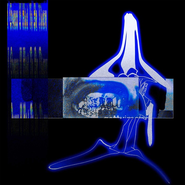 media/pim/12948046_1mevoldp_1