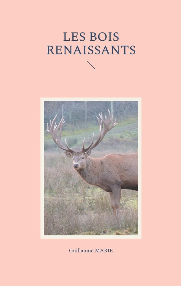 media/pim/12949237_1xatjkv5_1