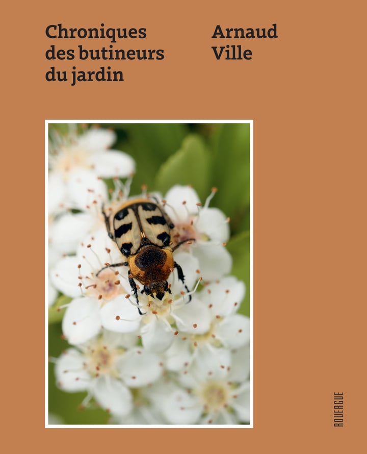 media/pim/12954598_1kfkf8ck_1_ff993