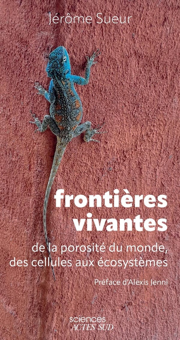 media/pim/12954858_12dbo0if_1