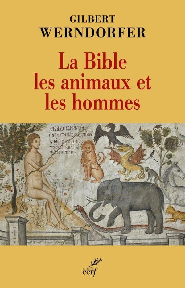 media/pim/12969371_8uxnzm59_1