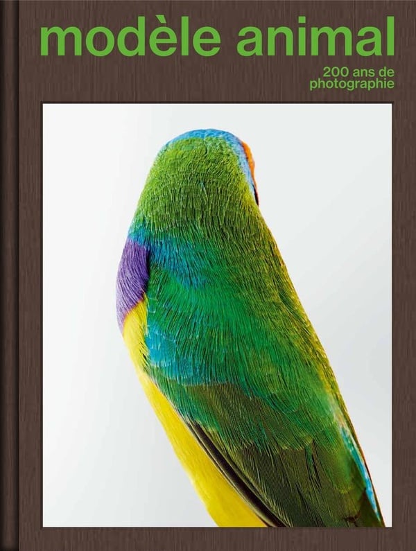 media/pim/12984666_v5k3jqji_1