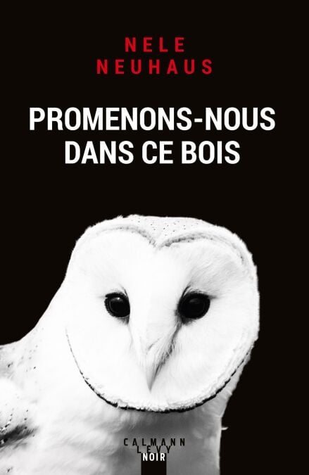 media/pim/12_40696d97-9921-47e3-a8be-7368d6b3b0cc.jpeg