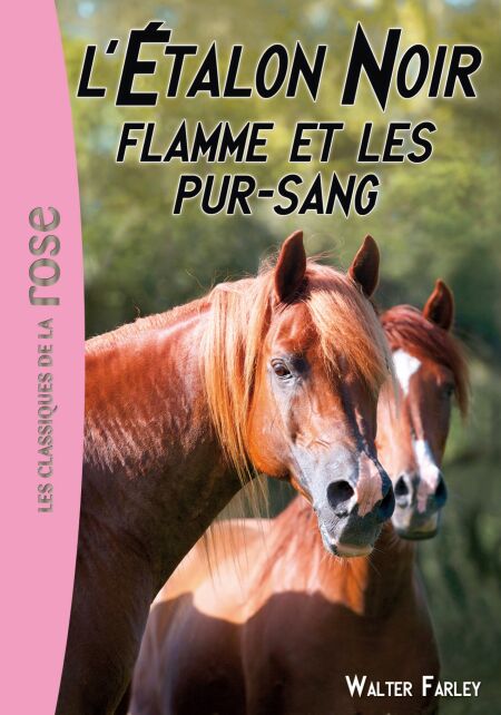 media/pim/12_5fe798e8-6e2a-421e-bf24-11d68d5e0155.jpeg
