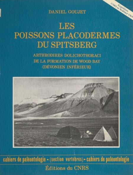 media/pim/12_8c732e67-d7de-4e39-9fe2-f2a86480b7d2.jpeg