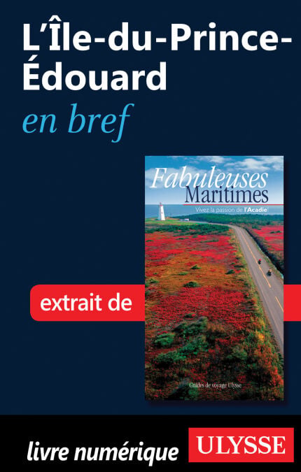 media/pim/12_ca5c5c72-e6ff-4dfa-beb6-c7dcad79bbb4.jpeg