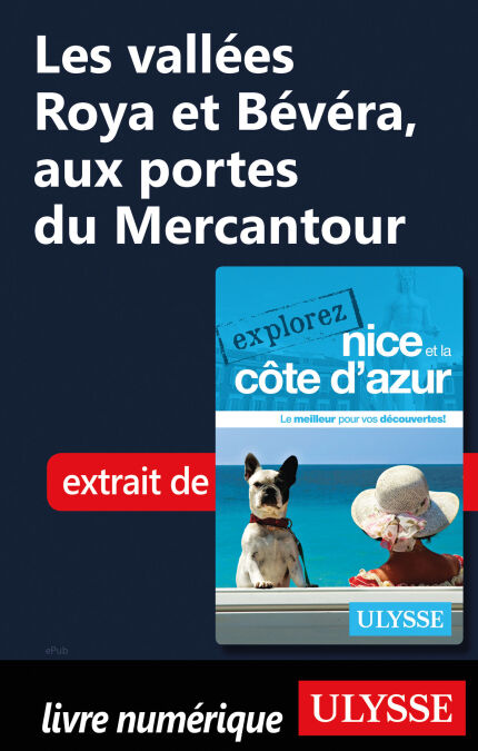 media/pim/12_dd21ba58-8301-420d-89e5-744f5777bf78.jpeg