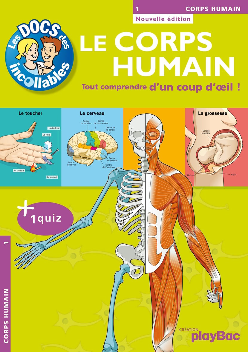 Les quiz sur le corps humain - L'anatomie du squelette humain, vue