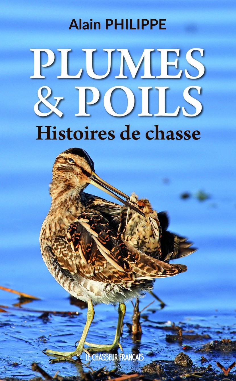 media/pim/12_metadata-image-21039327.png