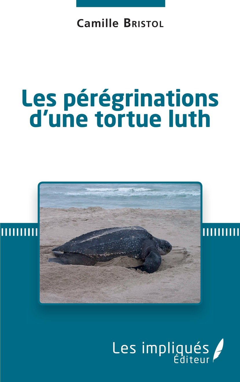 media/pim/12_metadata-image-48107718.jpeg