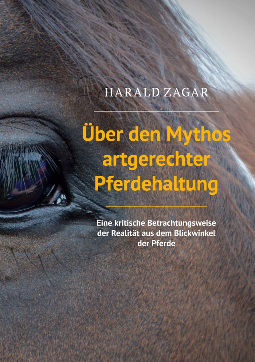 media/pim/12_metadata-image-48440023.jpeg